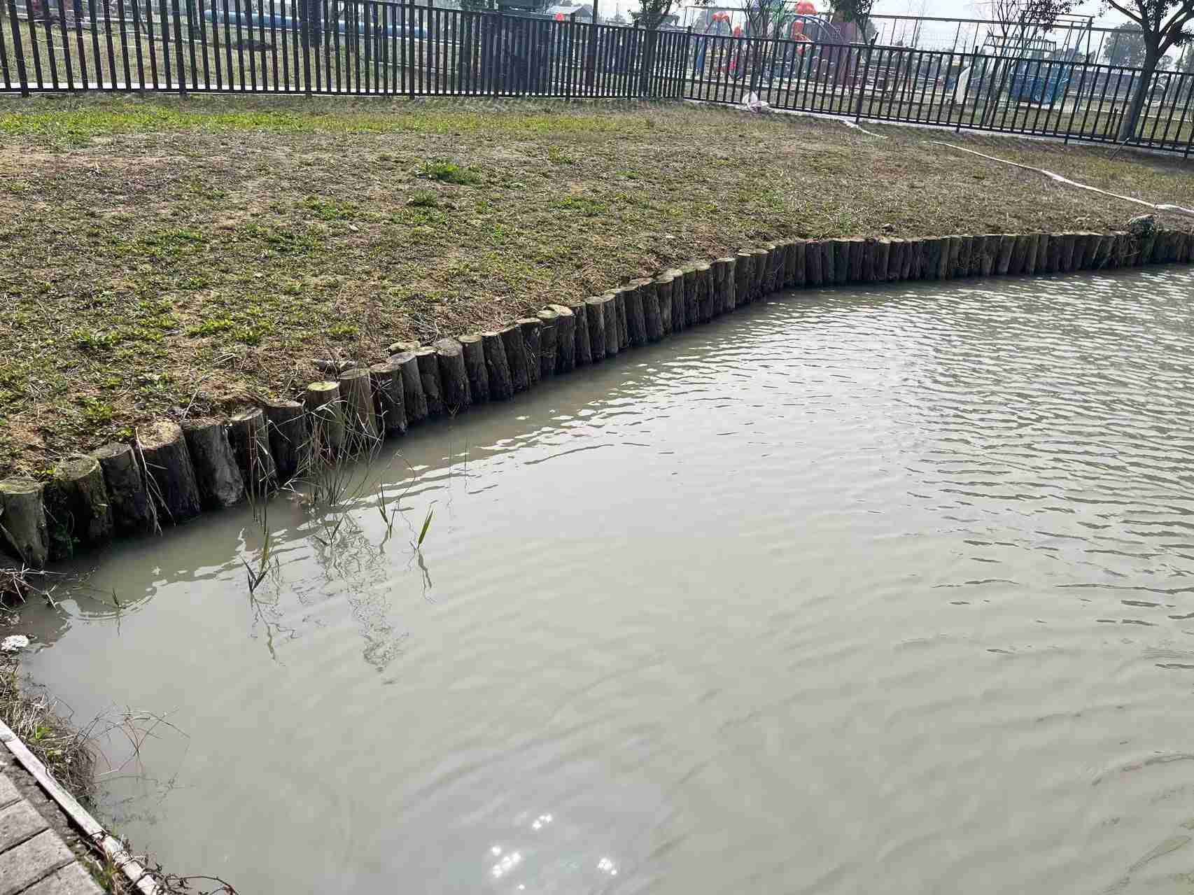 温州平阳莲池工地